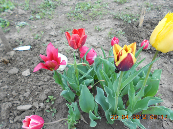DSCN2085