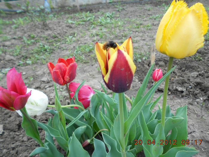 DSCN2086