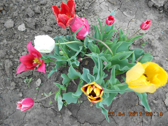 DSCN2089