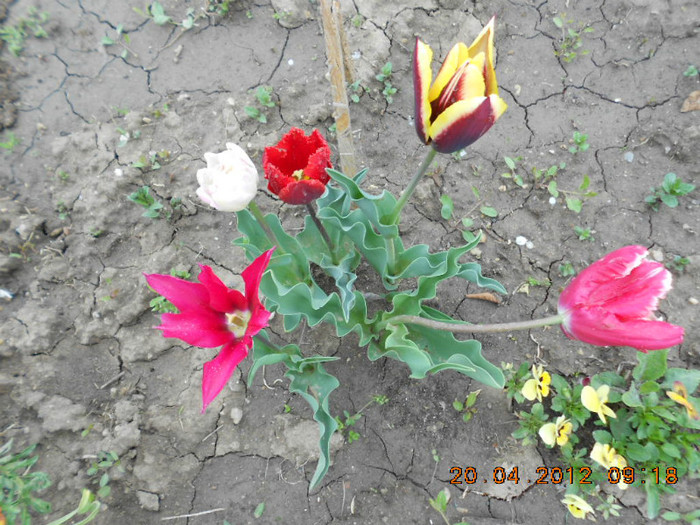 DSCN2092