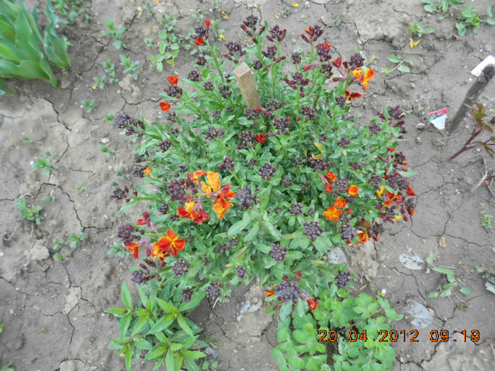 DSCN2093