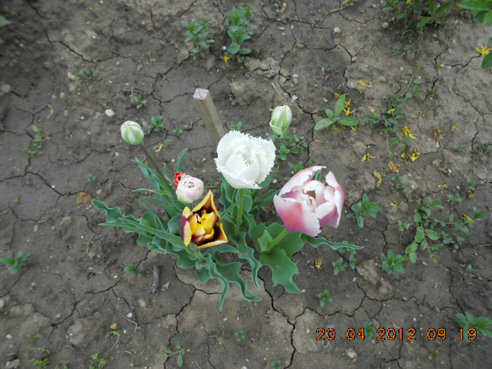 DSCN2094