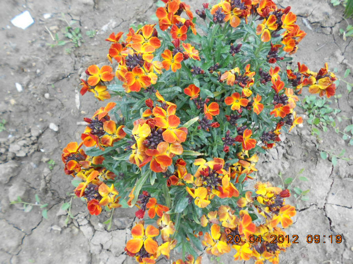 DSCN2096