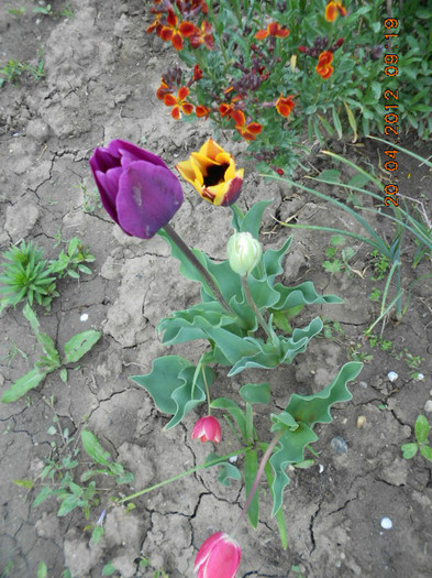 DSCN2097