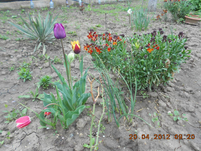 DSCN2098