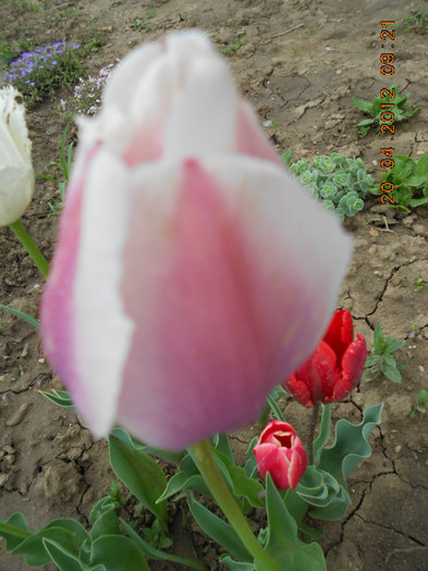 DSCN2105