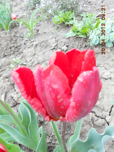 DSCN2106
