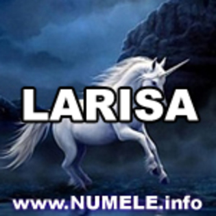 127-LARISA avatare mess