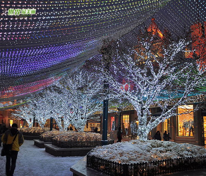 Everland%20Snow%20Festival,%20South%20Korea\'s%20romantic%20Love%20Song%20In%20Winter%20(1) - PoZE CU SEUL