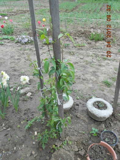 DSCN2136
