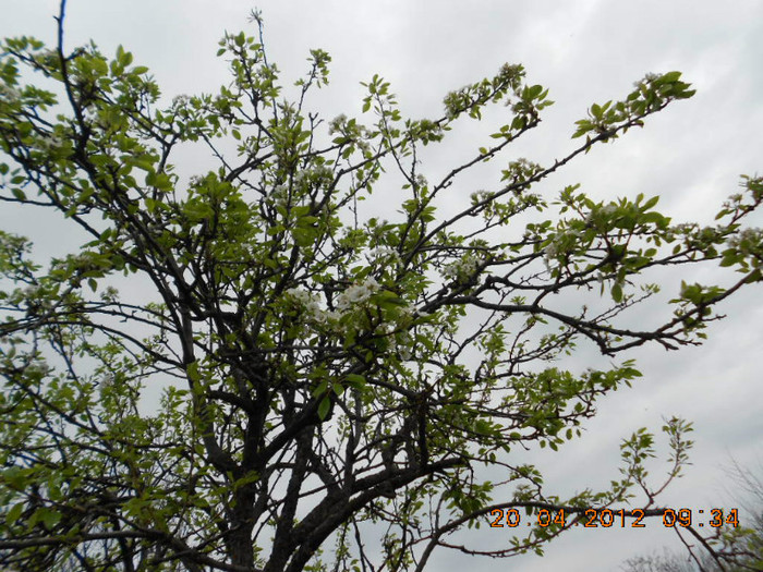 DSCN2142