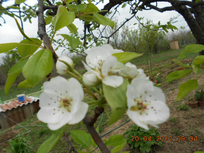 DSCN2143