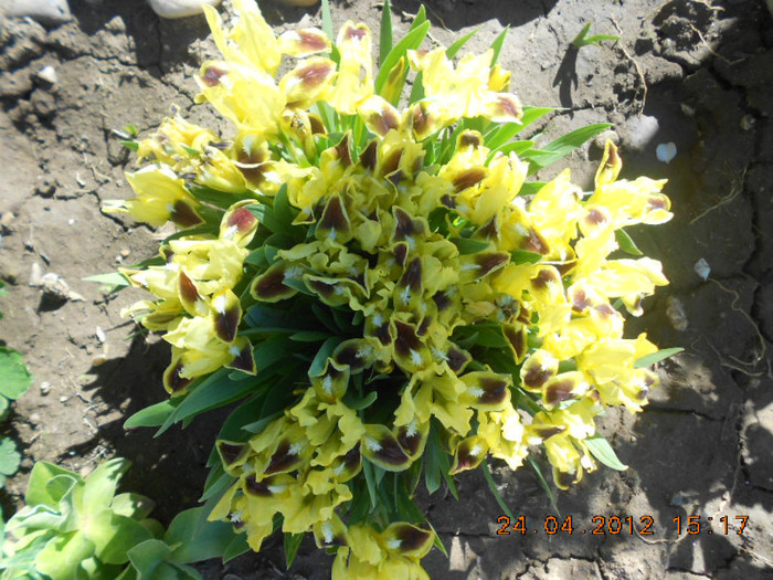 DSCN2199