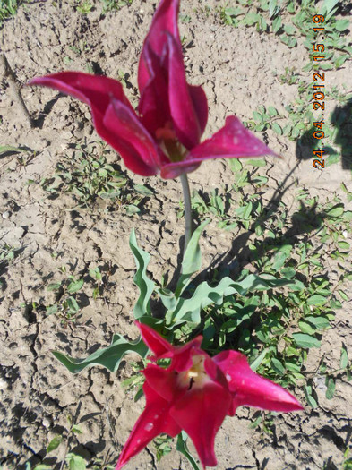 DSCN2208