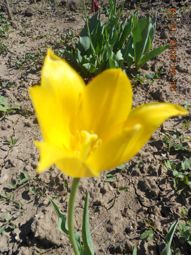 DSCN2211