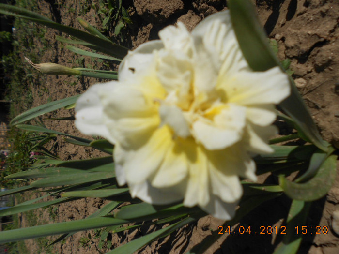 DSCN2217