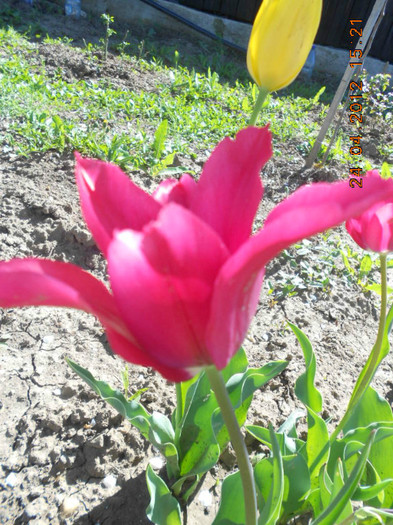 DSCN2221