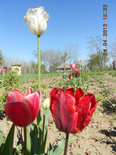 DSCN2228