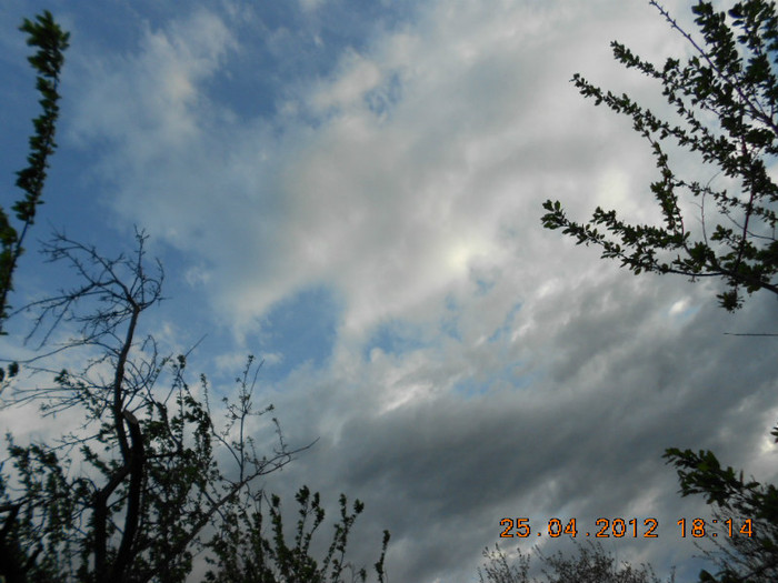 DSCN2262