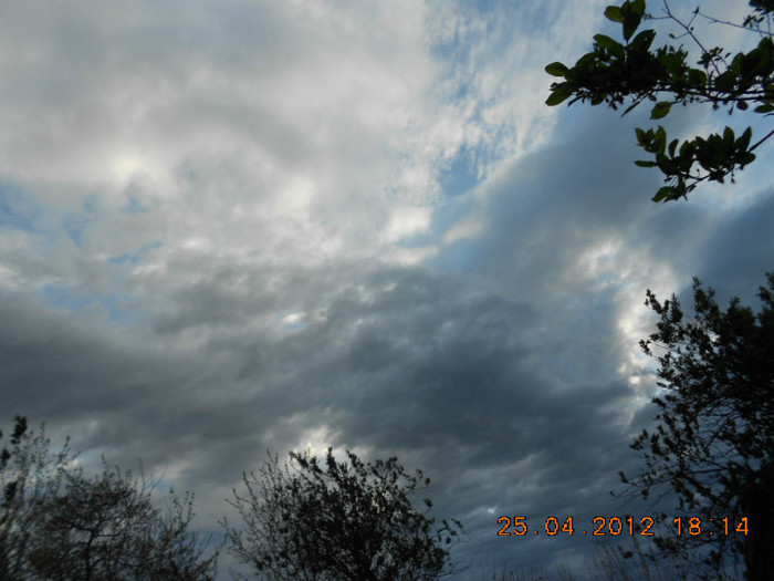 DSCN2263