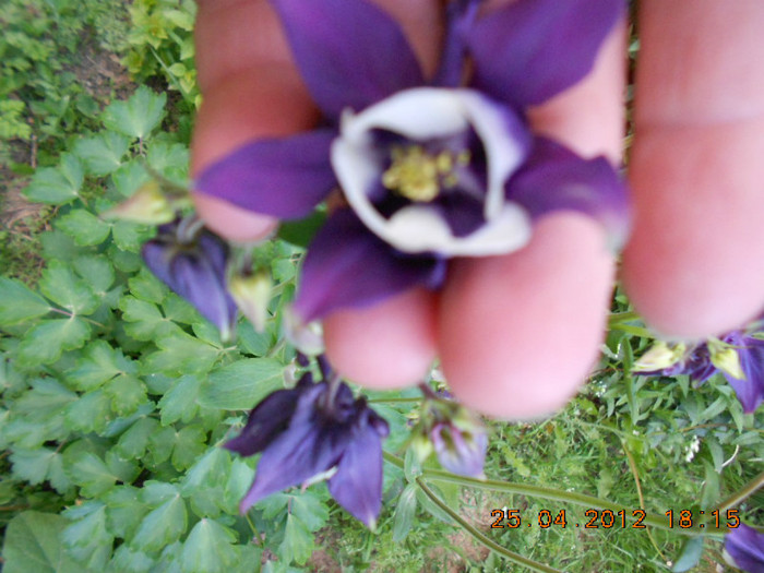 DSCN2273