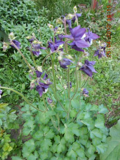 DSCN2275