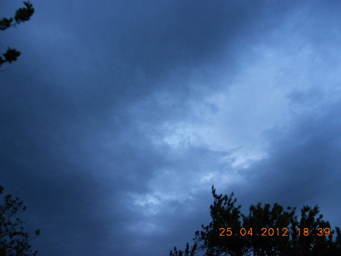 DSCN2279