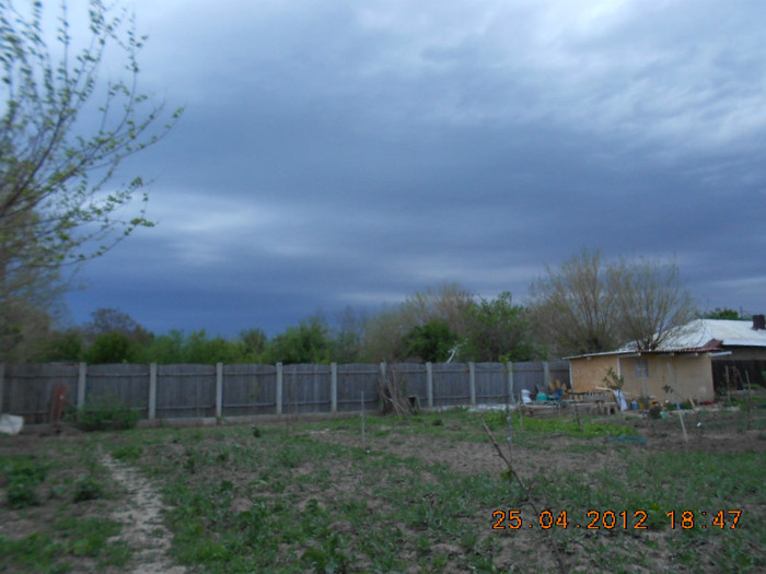 DSCN2286