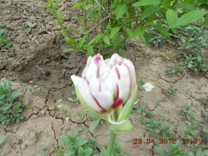 DSCN2310