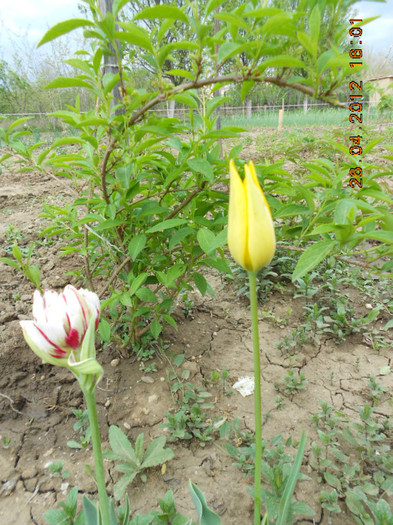 DSCN2311