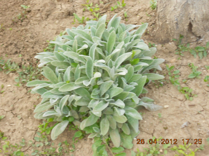DSCN2322