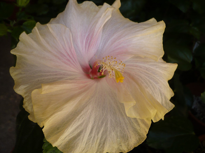 P1120992