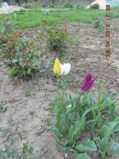 DSCN2325