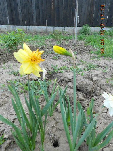 DSCN2327