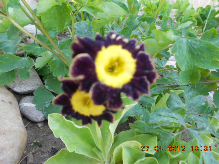 DSCN2337