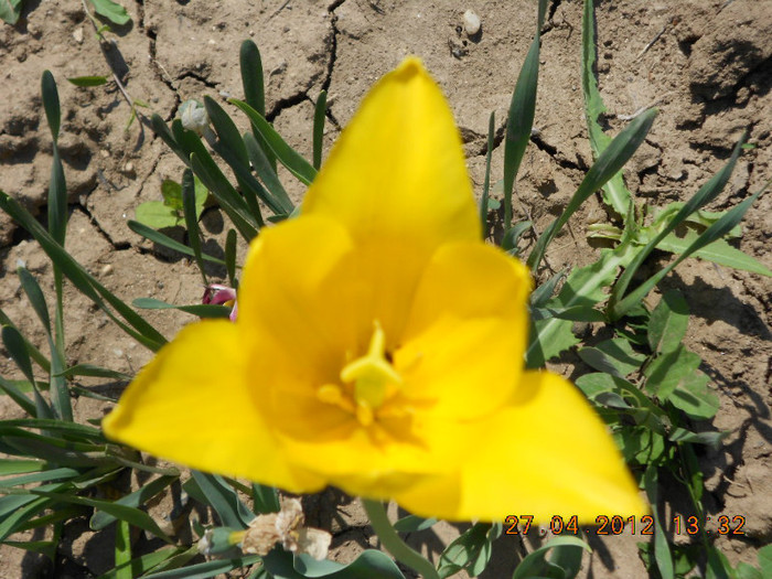 DSCN2343
