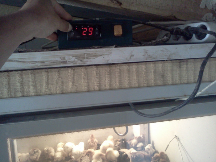 temperatura programata