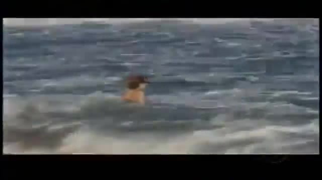 Demi Lovato Gets Hit By The Ocean Waves In Rio De Janeiro_ Brazil 495