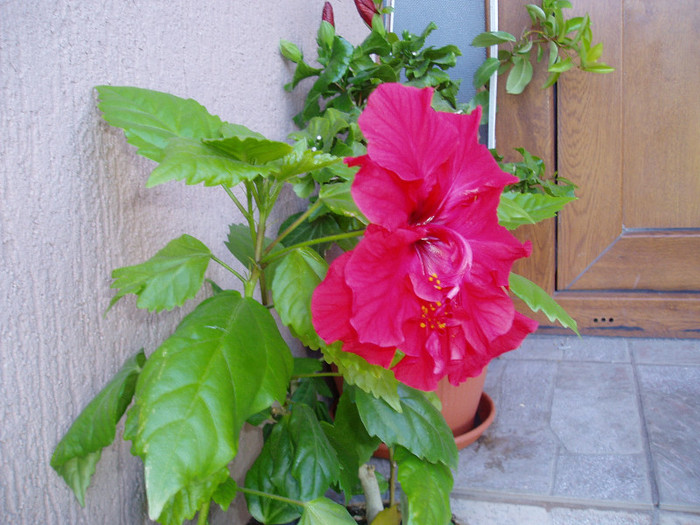 P1010157