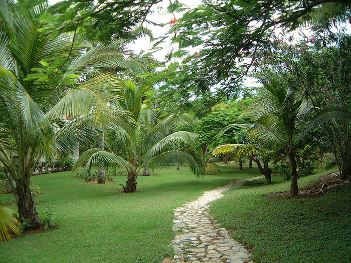 Cuba Green - Peisaje