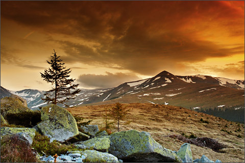 natura3[1] - Peisaje