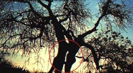 natura4[1] - Peisaje