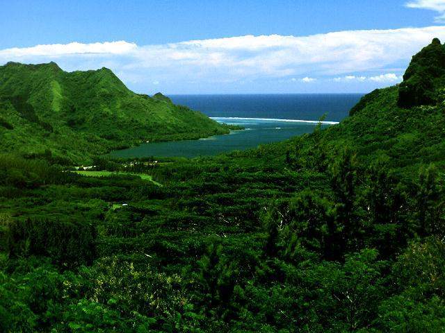 natura 278 - Peisaje