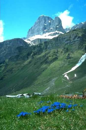 natura 279 - Peisaje