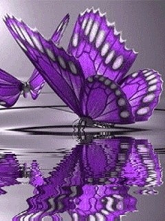 Natural 033 - Peisaje