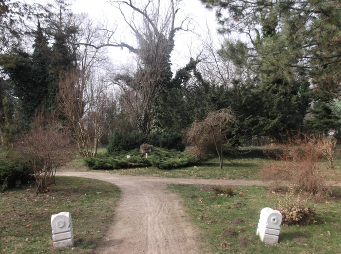 DSCF0684 - MACEA