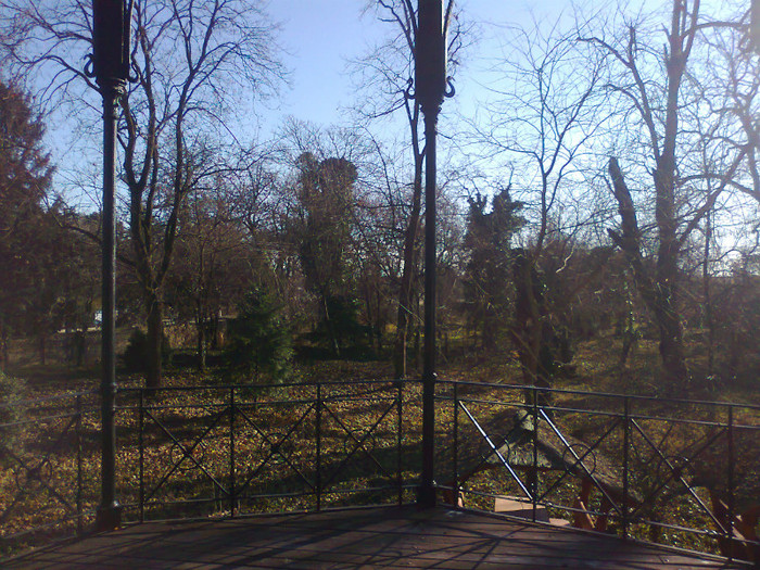 Fotografie0217 - MACEA