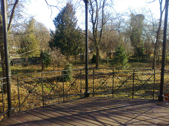 Fotografie0218 - MACEA