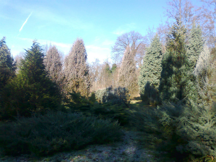 Fotografie0219 - MACEA