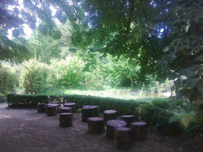 Fotografie0570 - MACEA